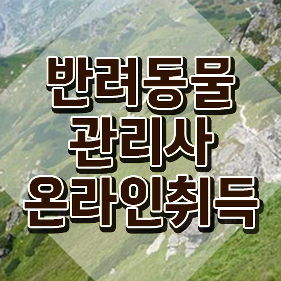 반려동물관리사하는일 , 반려동물관리사 독학으로 합격한 후기 및 취업 전망