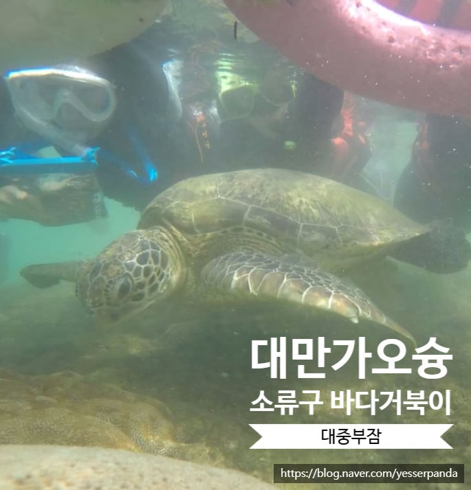  대만 가오슝 가볼만한곳 소류구섬 바다거북이 대중부잠 스노클링