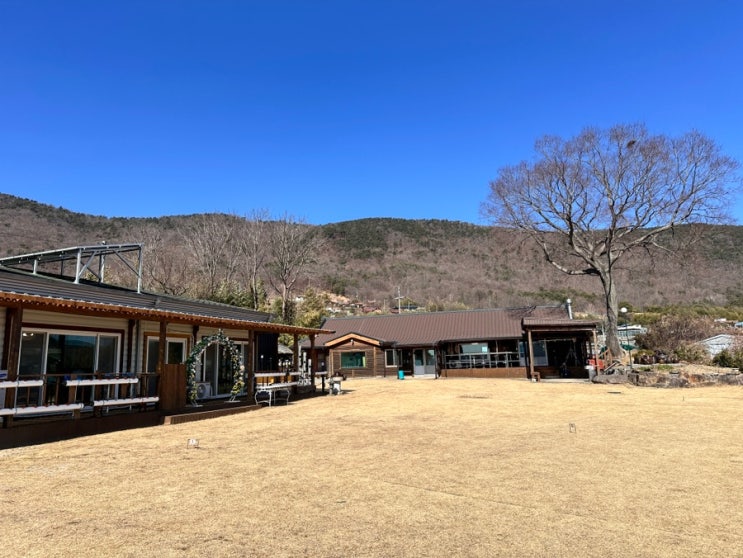  울산의 숨겨진 오리백숙 맛집 무제치가든