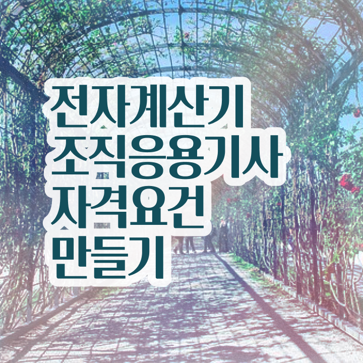  전자계산기조직응용기사 자격요건 온라인 수업으로 간단하게 준비한 노하우