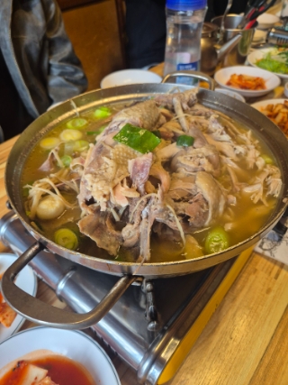  [용인 처인구] 백숙 맛집 현지인 맛집 어르신들 모시고 가기 좋은 한터시골농장 애견동반 가능 단체 룸 예약 블루리본 맛집