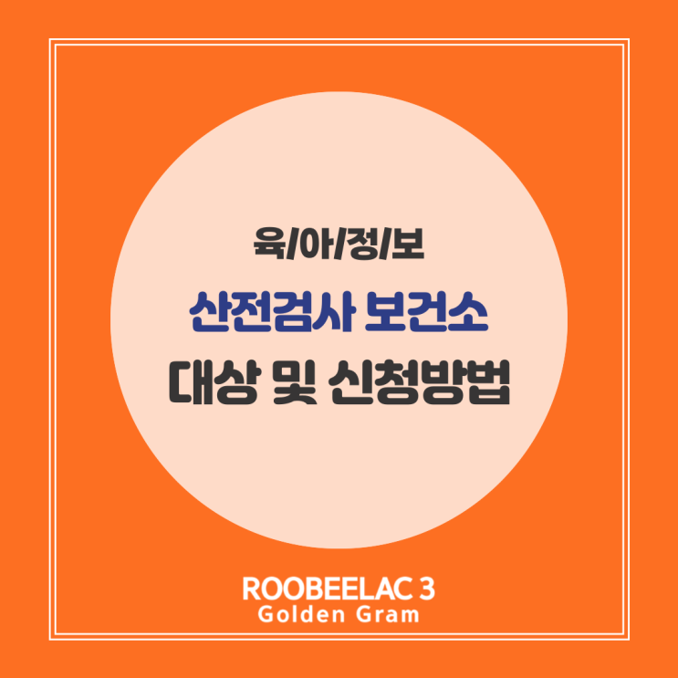  산전검사 보건소 예약 대상 검사 항목 서류 신청방법 by. 덴마크 슈퍼 프리미엄 분유 루비락 3