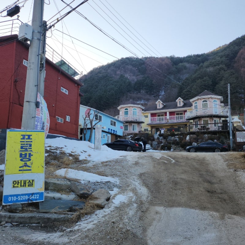 사진 3