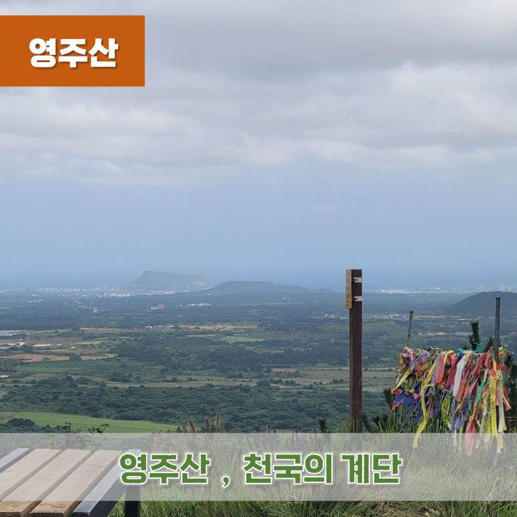  《제주오름》 영주산 천국의 계단 제주도 동쪽 오름 추천
