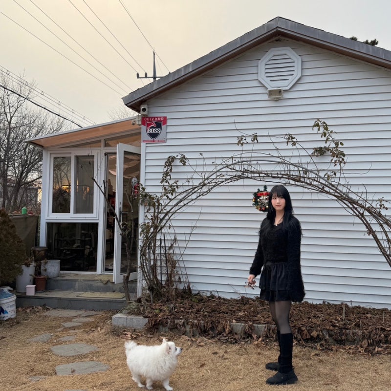사진 5