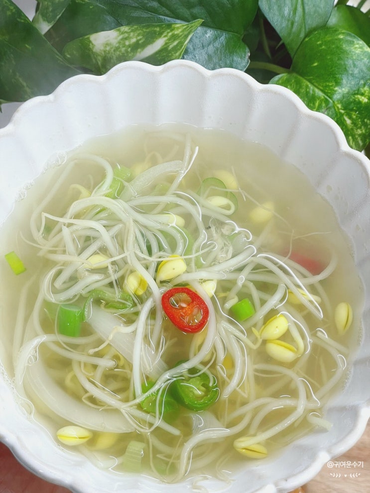  새우젓콩나물국 끓이는법 시원한 맑은콩나물국 끓이기 콩나물국 레시피