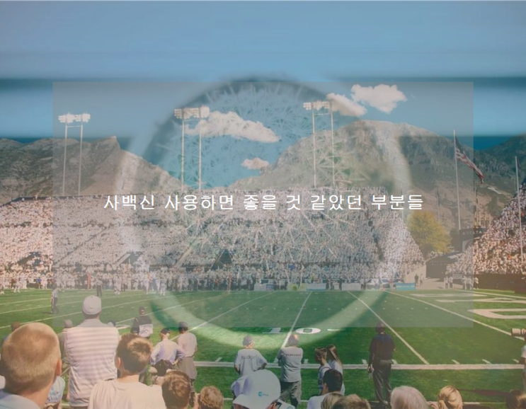  사백신 사용하면 좋을 것 같았던 부분들