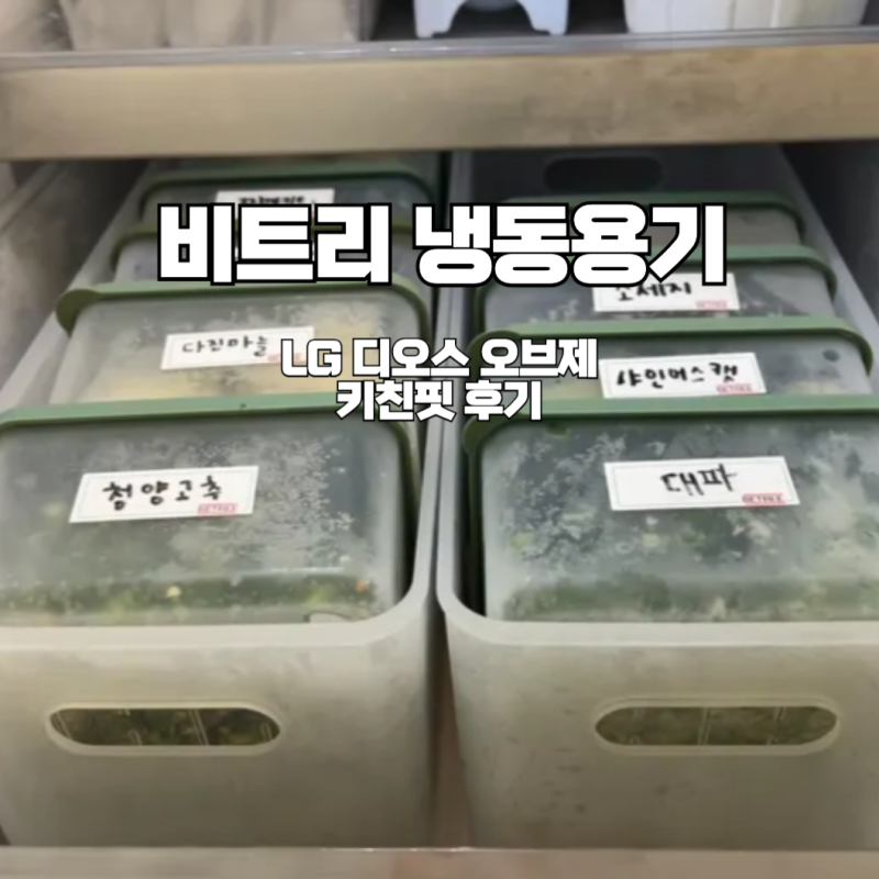 키친핏 냉장고에 냉동용기로 정리하기 비트리 땡스소윤 비교