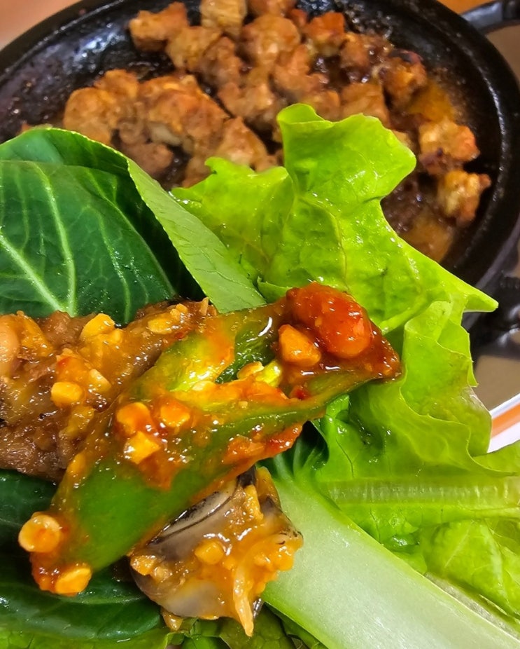  [전북/고창] N번째 단골된 고창맛집 텃밭쌈밥식당