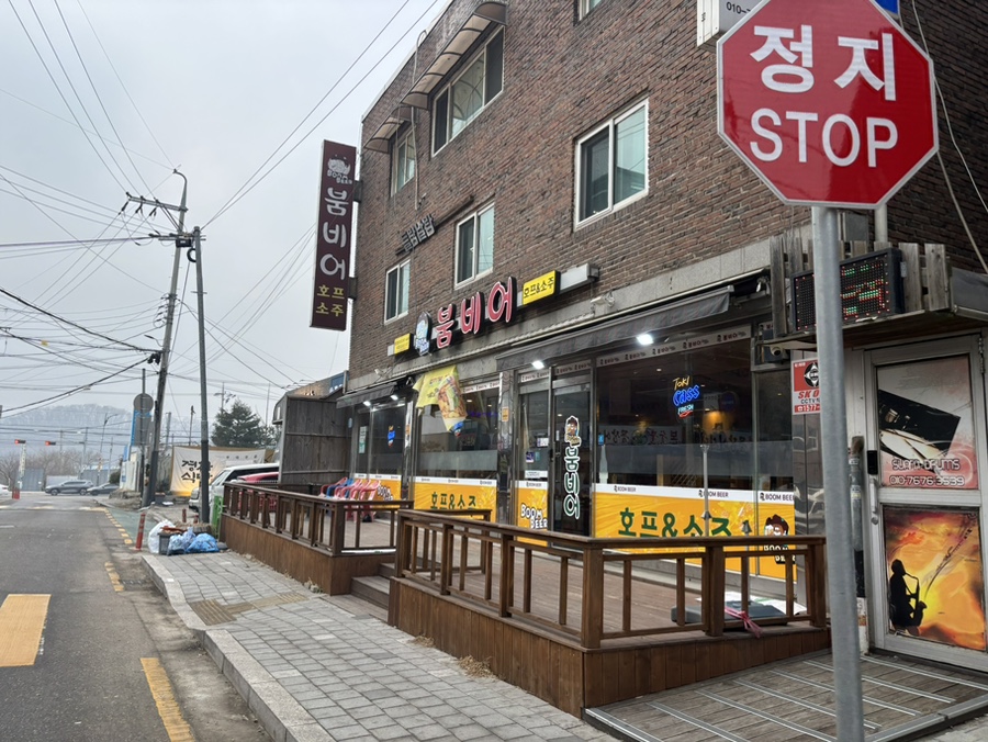 붐비어 사진 2