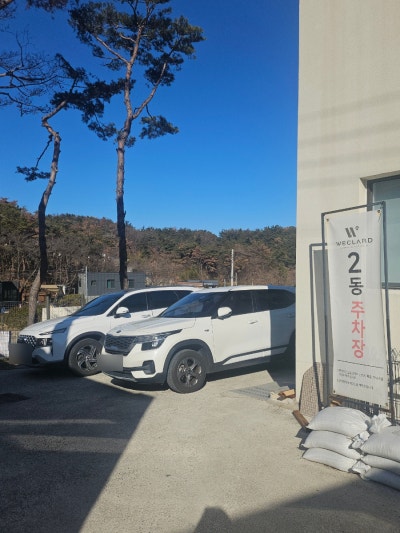 사진 3