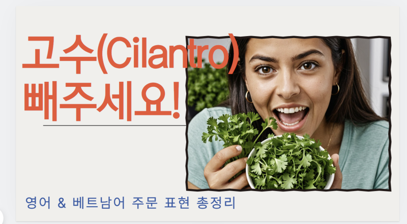영어로 고수, 베트남어도 OK! 베트남 쌀국수 주문 핵심 표현 모음