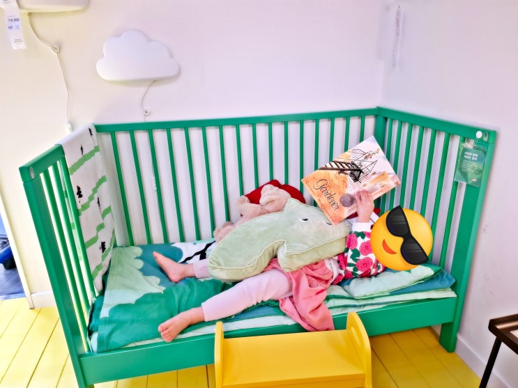  격주간일기 4회차 | 2월 15일부터 28일까지