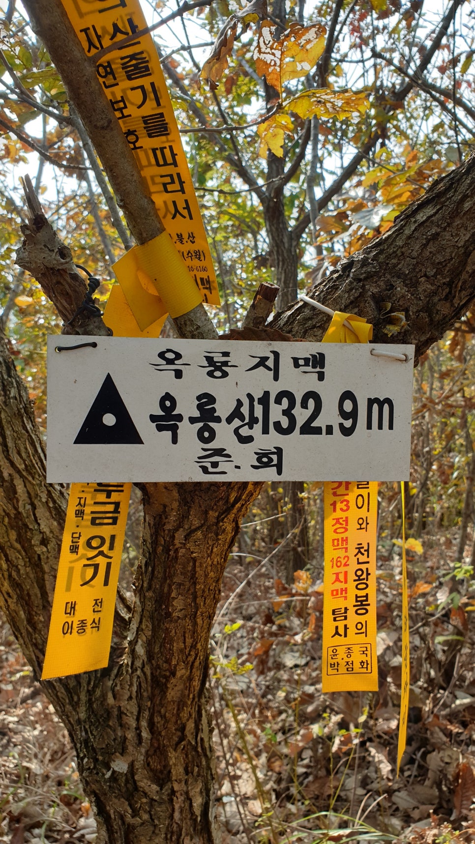 옥룡산 사진 2