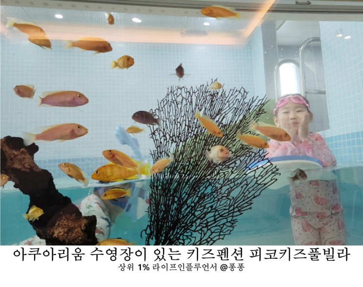  부산 근교 오션뷰 키즈펜션 추천 아쿠아리움 수영장 울산 피코키즈풀빌라 겨울 아기랑 갈만한곳