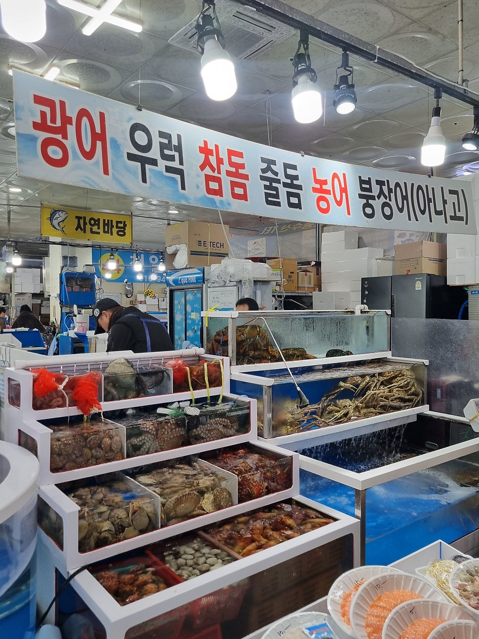 그린수산 사진 3