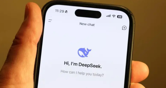 <b>딥시크</b>(DeepSeek) 한국에서 철수당하다