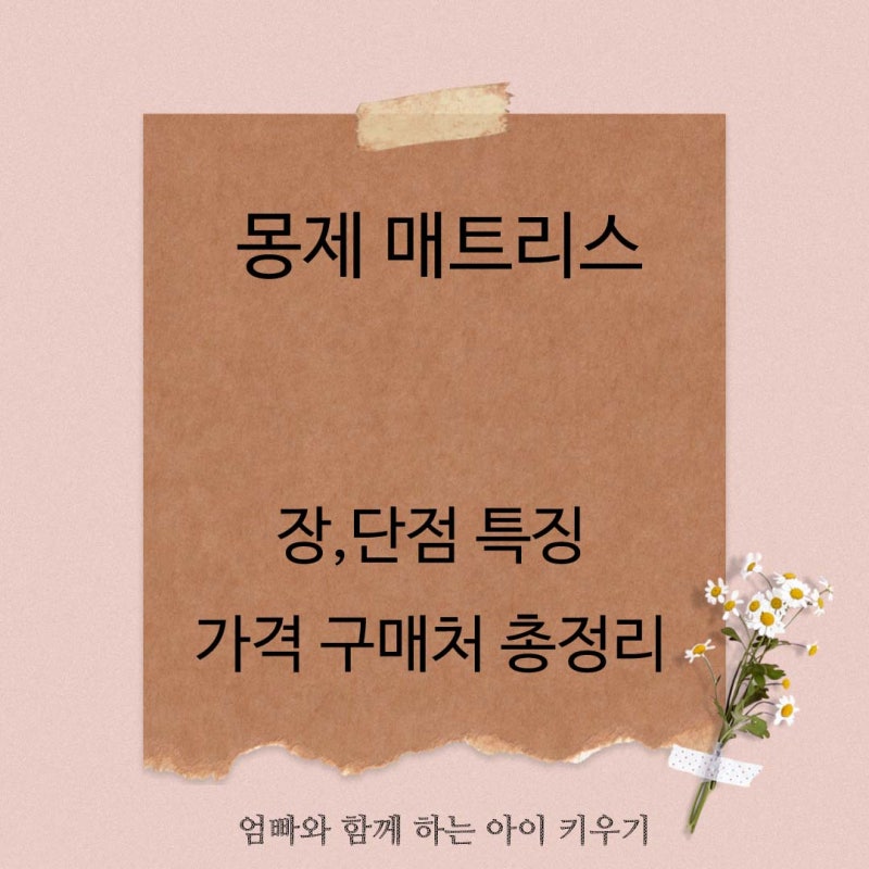 몽제 매트리스 장 단점 특징 가격 구매처 총정리