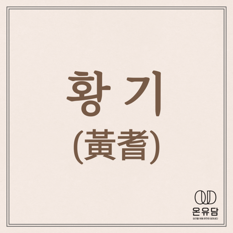 황기 효능효과, 먹는법, 부작용을 알아보자!