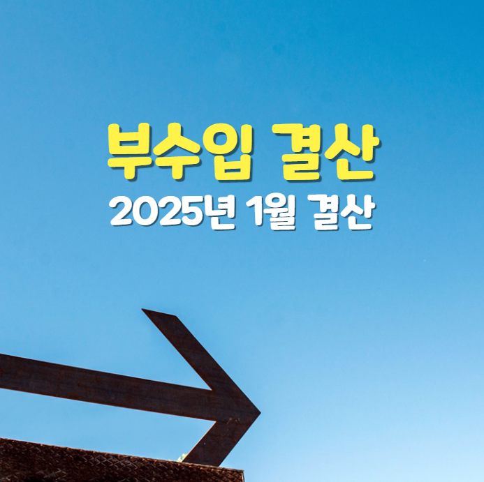  2025년 1월 부수입 결산