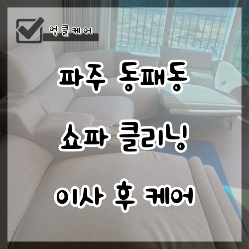  쇼파 클리닝 이사 후 먼지 얼룩 제거 파주 동패동