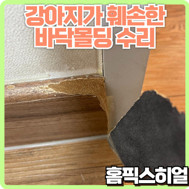  강아지가 물어 뜯은 바닥몰딩 수리, 꼭 필요한 이유