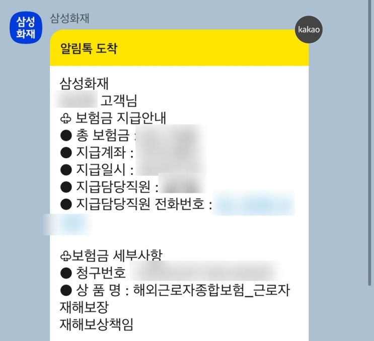  [코이카NGO봉사단] 35. Flying Doctors 플라잉 닥터스 이용후기 & 보험금 청구