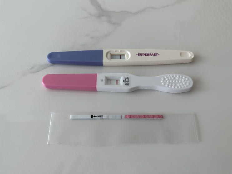  임신 안전기 배 나오는 시기 경험으로 배운 꿀팁