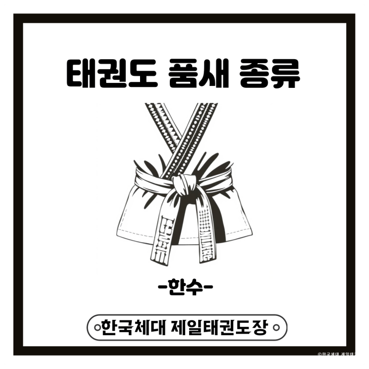  태권도 품새 종류 알아보기(한수 편)