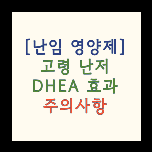  [난임 영양제]고령 난저 DHEA의 효과, 주의사항