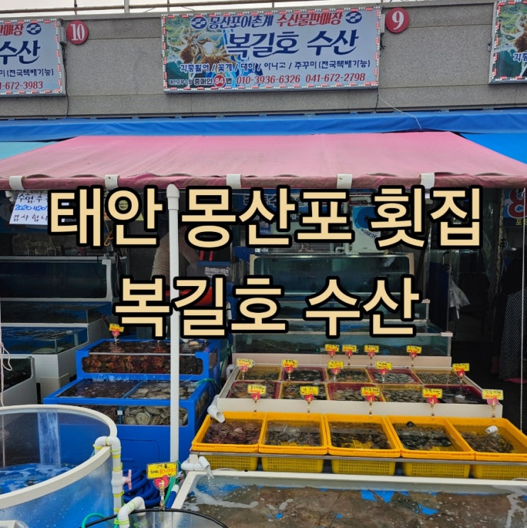  태안 몽산포 수산시장 횟집 복길호수산, 믿고 찾는 맛집