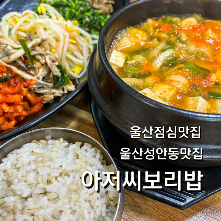  울산 성안동 밥집 아저씨보리밥 건강식 점심 맛집