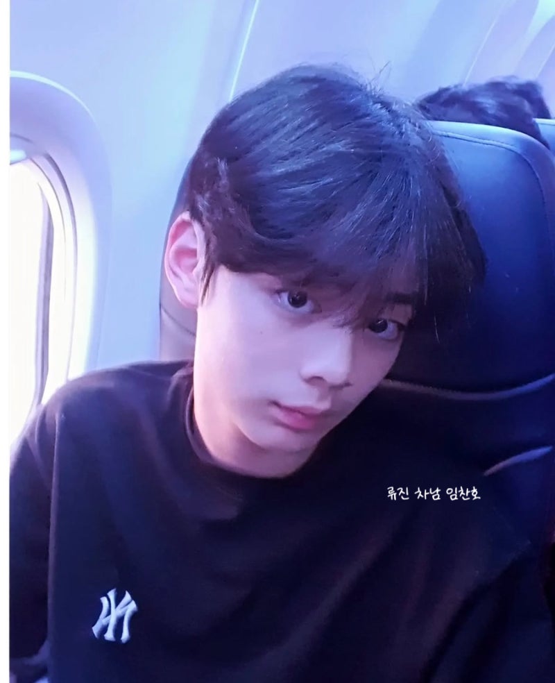 BTS 방탄 뷔 닮은 배우 류진 둘째 아들 임찬호