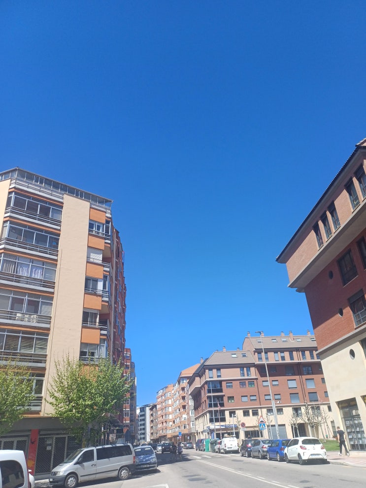  국내 주요 정책 및 시장 동향