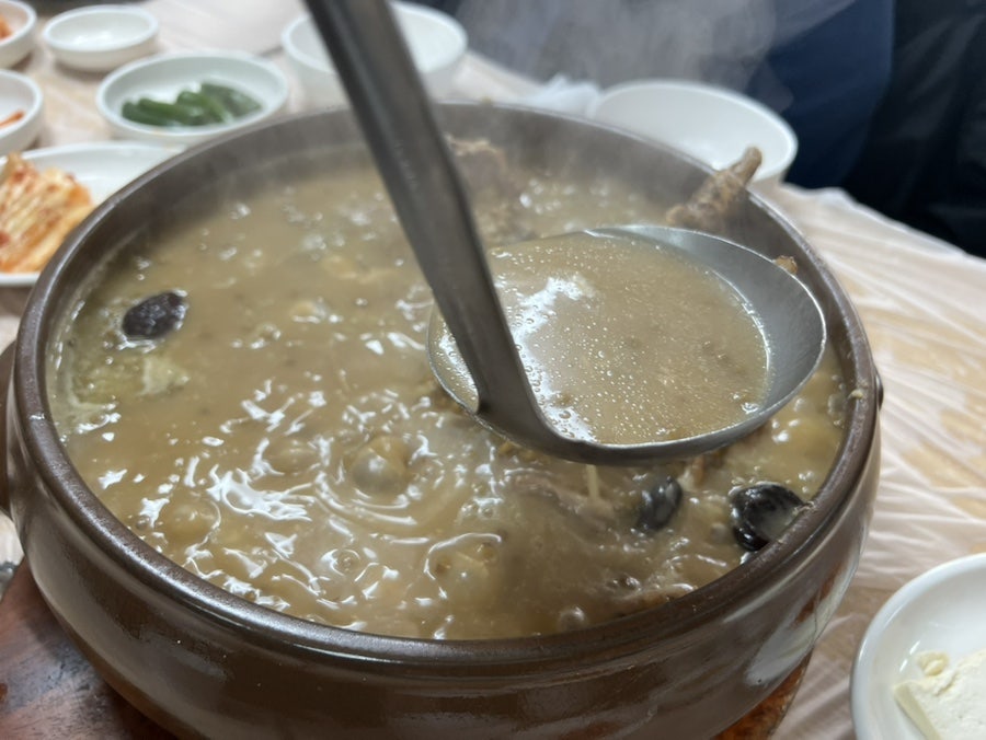 양지농원 사진 6