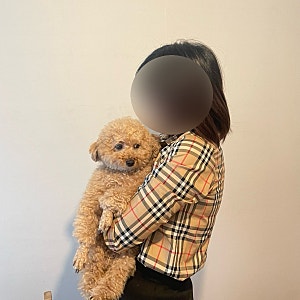 성인 버버리 체크 셔츠 12Y 키즈 마이테레사 구입 착용 후기