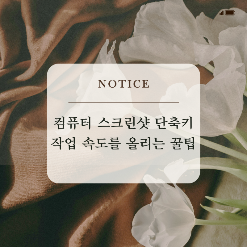 컴퓨터 스크린샷 단축키 : 작업 속도를 올리는 꿀팁