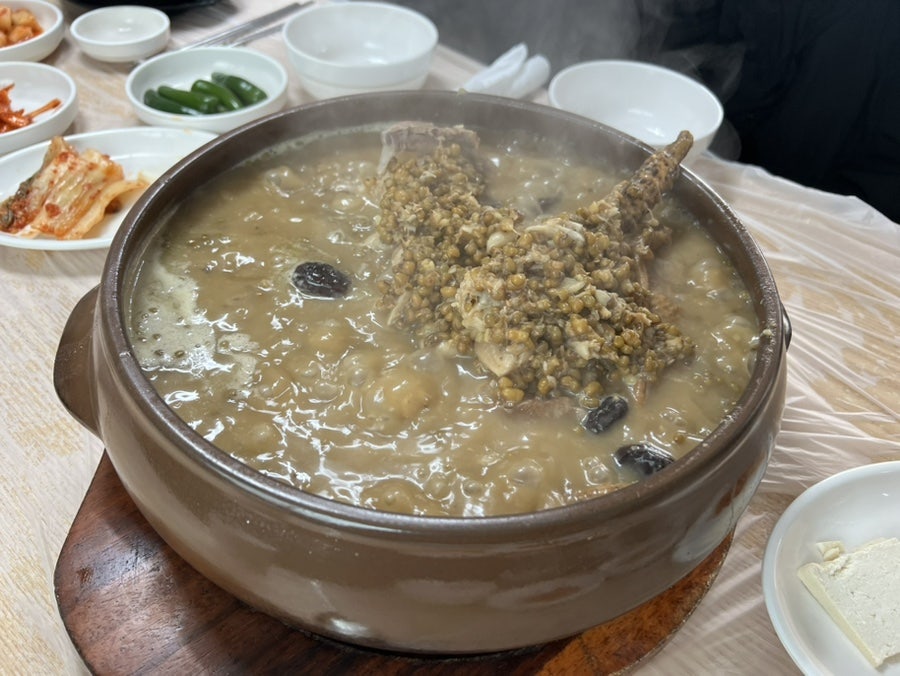양지농원 사진 5