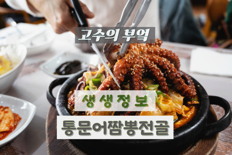 <b>대구</b> 문어짬뽕전골 <b>생생정보</b> 통문어전골 중국집 알려줘