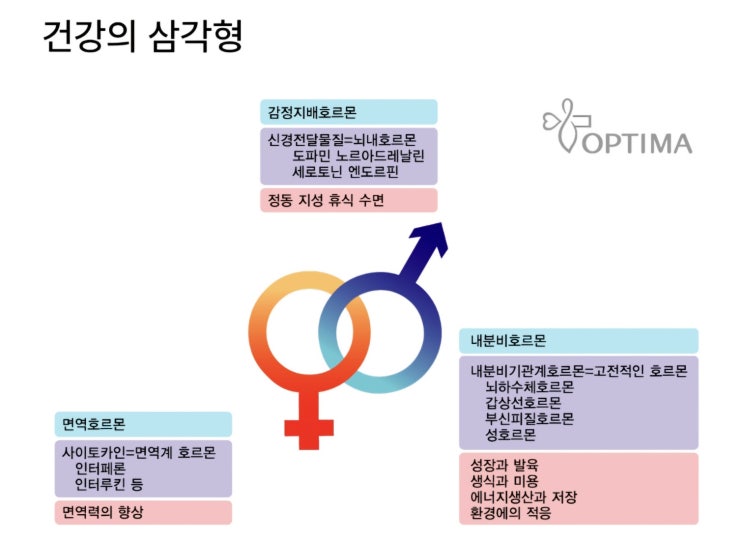  강남역 약국,  영양제 고르는 기준, 이것 모르면 돈 낭비 (대표 약사 작성)