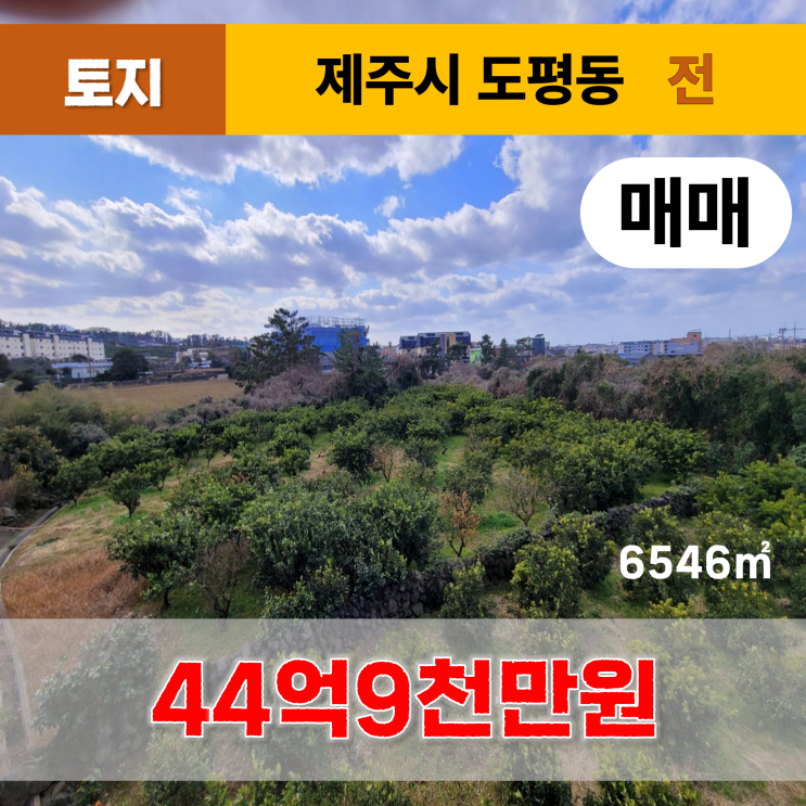  《제주도토지매매》 제주시 도평동 토지 매매
