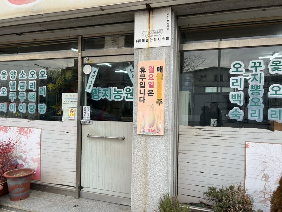 양지농원 사진 1