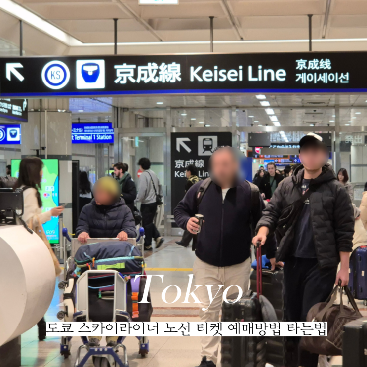  도쿄 스카이라이너 티켓 예약 할인 노선 현장교환 타는법