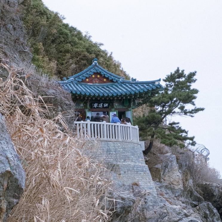  양양 가볼만한곳 낙산사 홍련암 의상대 시간 주차 입장료 여행 코스