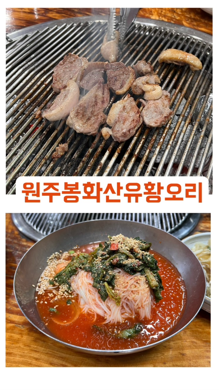  원주에서 몸보신 했어용️ 원주 오리고기 맛집 봉화산유황오리 참숯불 구이 