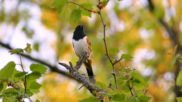  제주도가족여행 준비해야 한다면 ? 여행 전문가 가 패키지 별로 비교해 드립니다.