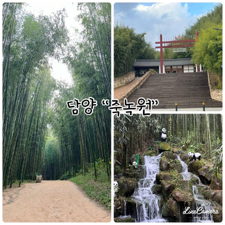  담양 대나무숲 공원 "죽녹원" 산책하기 좋은 곳