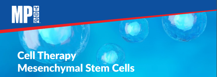  Cell Therapy: Mesenchymal Stem Cells