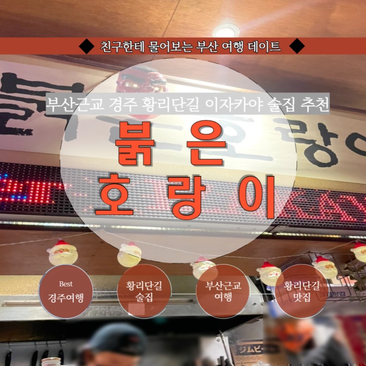  경주술집 황리단길술집 황리단길 이자카야 : 붉은 호랑이