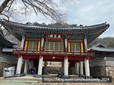 사진 5